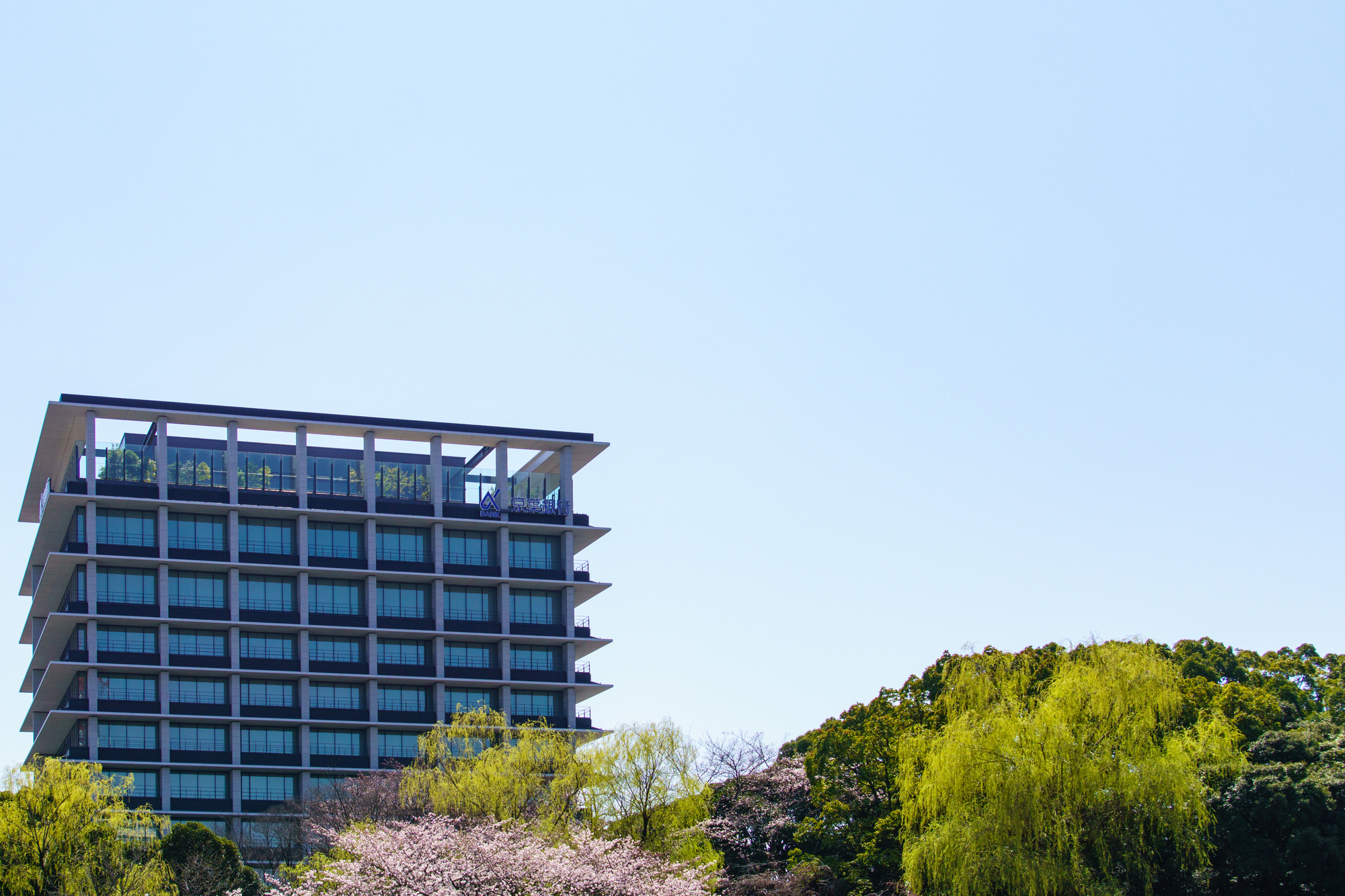 「やめとけ」の対象外？メガバンク以外の金融業界 就職先