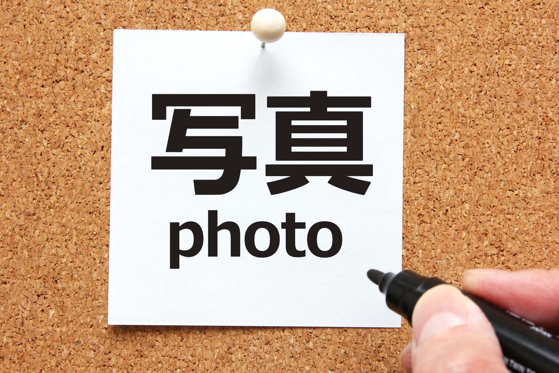 就活で使う証明写真の基本サイズ